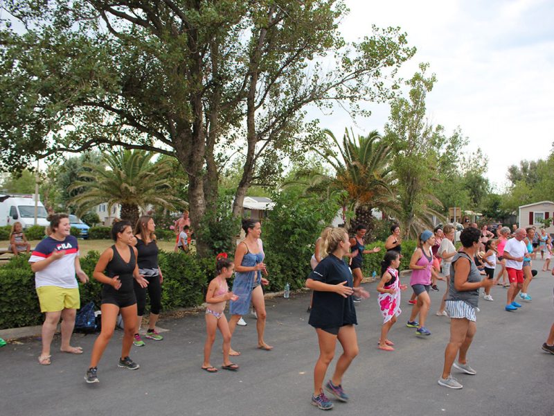 activités aude camping