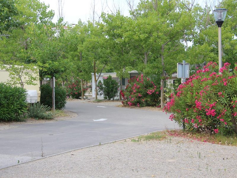 galerie photos pissevaches